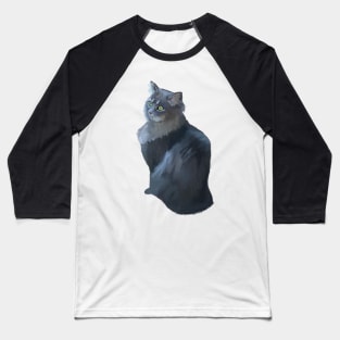 Gray Long Haired Cat Sitting Baseball T-Shirt